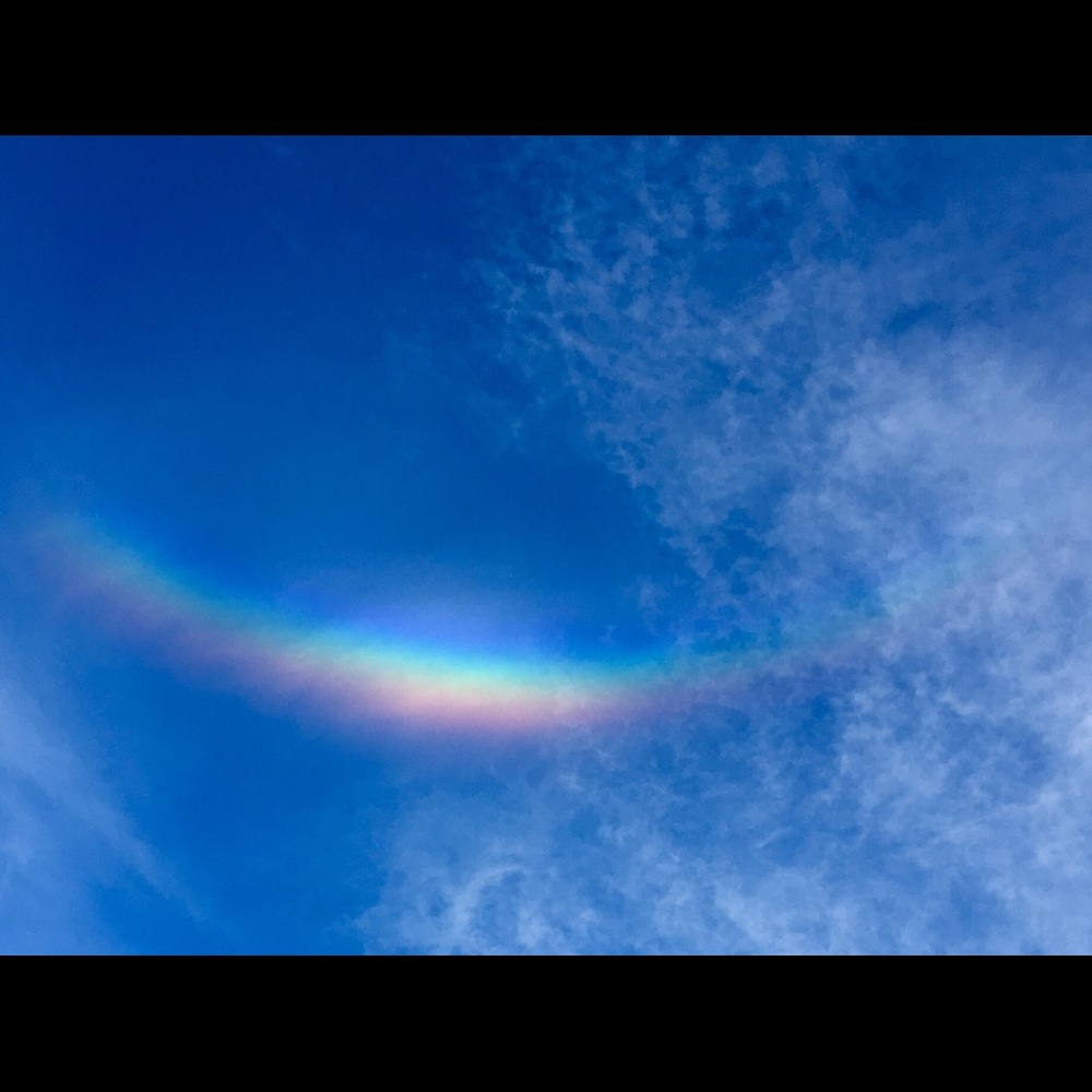 Meet your Posher, Rose